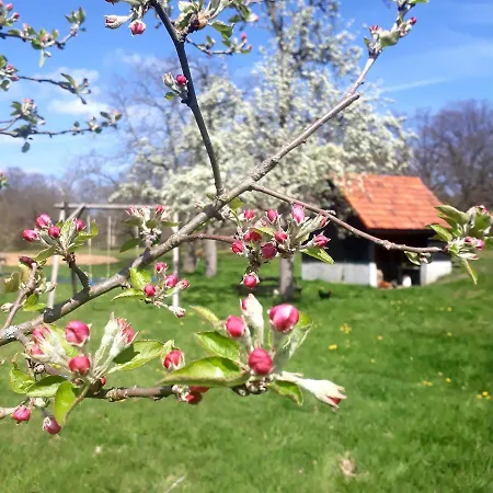 Houterhoeve לינה וארוחת בוקר