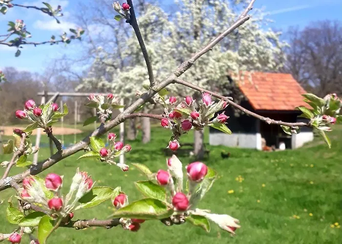 Houterhoeve Bed & Breakfast