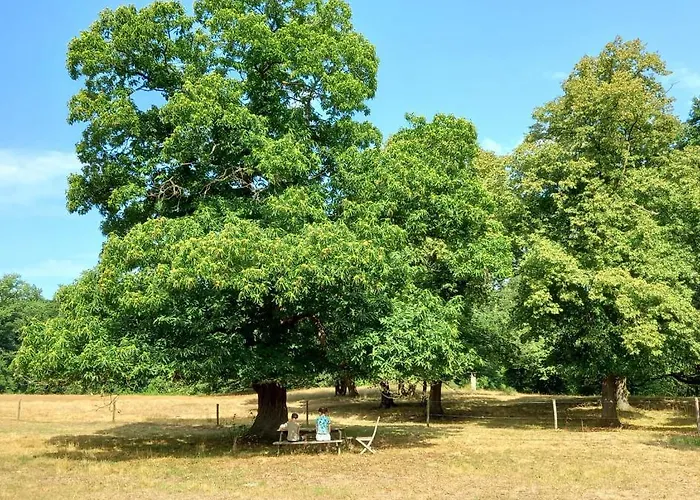 Bed & Breakfast Houterhoeve 3*