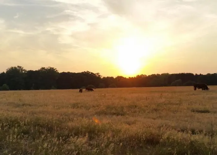 Houterhoeve 3* Swalmen